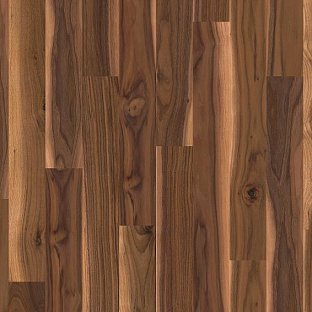 Walnut am. Nature