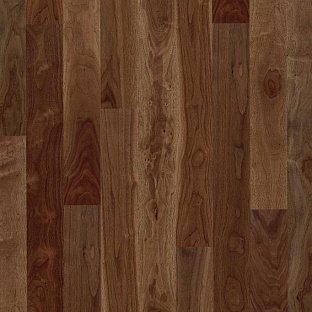 Walnut am. Nature